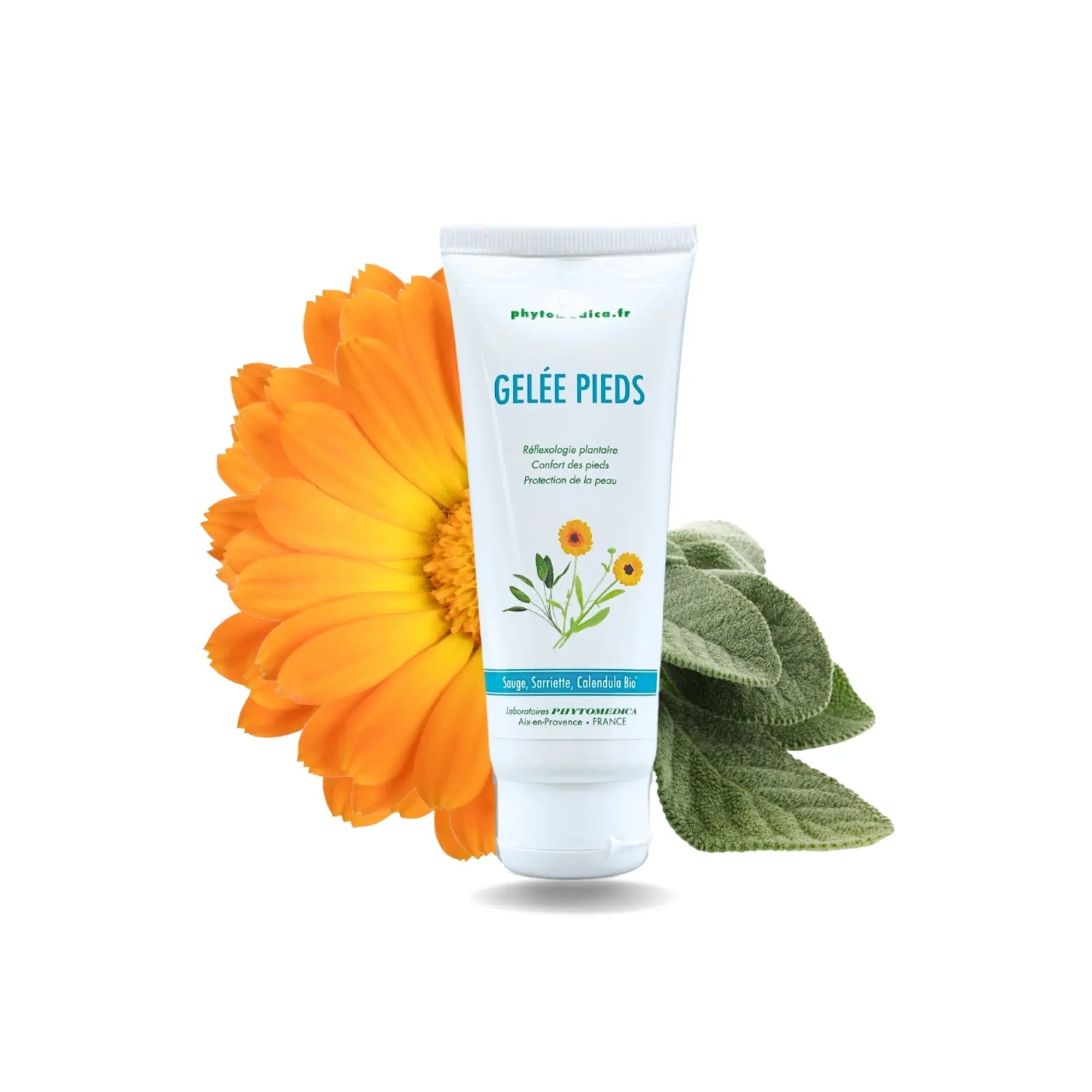 Moisturizing healthy feet jelly - 75 ml - Phytomedica Laboratoires Phytomedica 