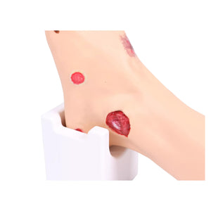 Modèle de pied avec plaies - Anatomie et pathologie My Podologie 