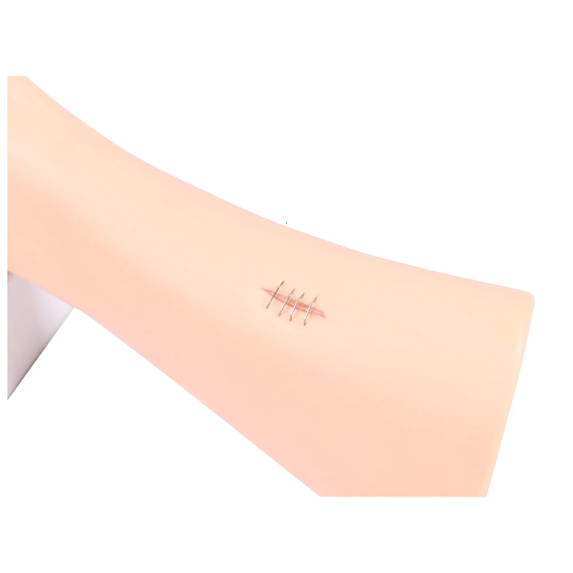 Modèle de pied avec plaies - Anatomie et pathologie My Podologie 