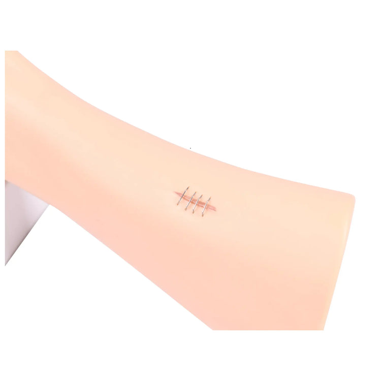 Modèle de pied avec plaies - Anatomie et pathologie My Podologie 