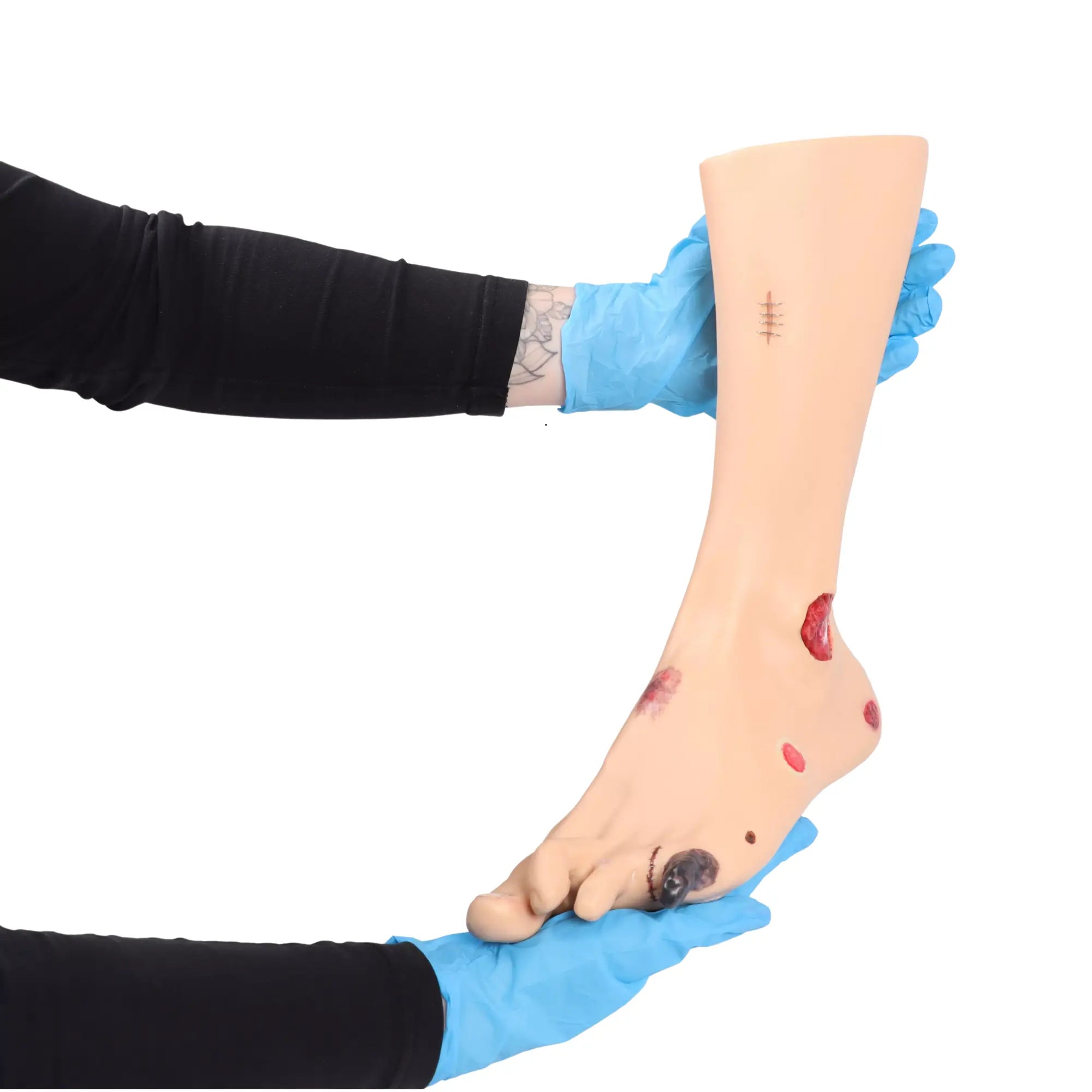 Modèle de pied avec plaies - Anatomie et pathologie My Podologie 